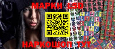 сатива Гатчина