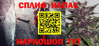 сатива Гатчина