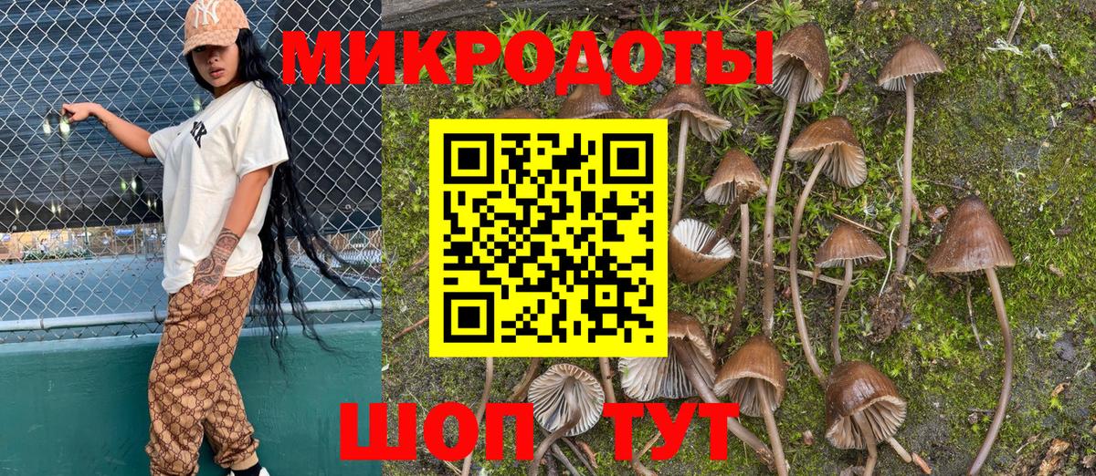 даркнет сайт  Вход с VPN  Галлюциногенные грибы Cubensis  Среднеуральск  Псилоцибиновые грибы Cubensis 